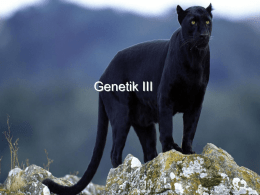 Genetik kap5 / Microsoft PowerPoint