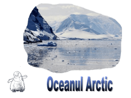 Oceanul Arctic - prezentare Power Point