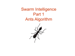 Ants Algorithm