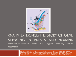 Historia de la interferencia del RNA (RNAi)