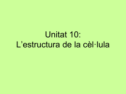 Unitat 10: L`estructura de la cèl·lula