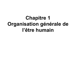 Chapître 1: Organisation générale de l`être humain