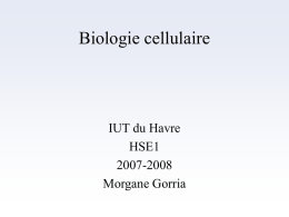 Le cytosol - Morgane Gorria
