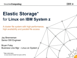 Elastic Storage for Linux on System z