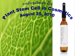 Plant stem cells