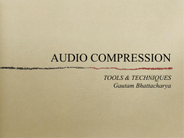 Presentation 2: Audio Compression Techniques