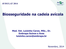 Luizinho Caron - Avisulat 2014 - IV Congresso Sul Brasileiro de