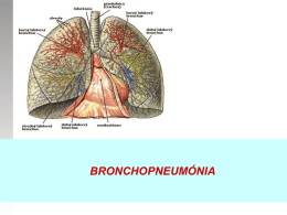 6._bronchopneumonia