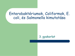 3.Kóliform és E. coli, enterobacteria, Salmonella kimutatása