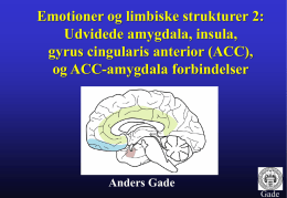 Udvidede amygdala, insula og ACC