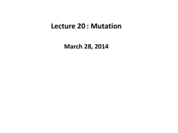 ppt