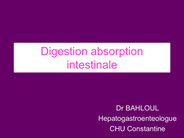 Digestion absorption intestinale