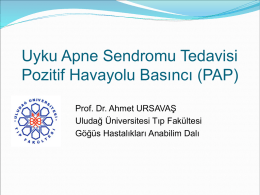 Slayt 1 - Prof. Dr. Ahmet URSAVAŞ