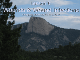 Lesson 8: Wounds and Wound Infections - Bsa