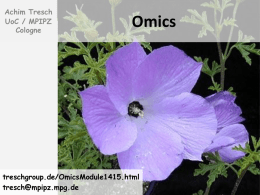 Lecture 5 - Tresch Group