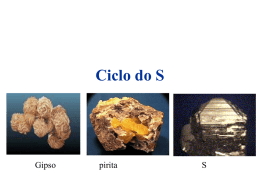 Cap6_Ciclo_do_S