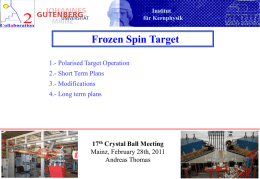 Frozen Spin Target