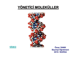 yonetici_molekuller2 - Bursa Erkek Lisesi 1883