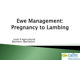 Sheep Production Week 3 Ewe Management Pregnancy to