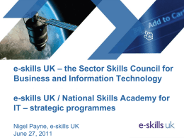e-skills Professional Programme