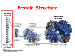 Proteins - Postezy