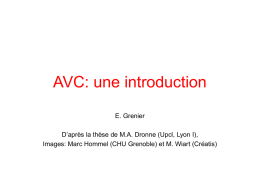 AVC: une introduction