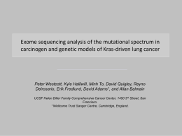 Exome sequencing analysis of the mutational spectrum in