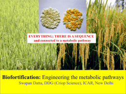Biofortification by Dr Swapan Kumar Datta, DDG (Crop