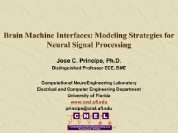 ppt - Computational NeuroEngineering Laboratory (CNEL)