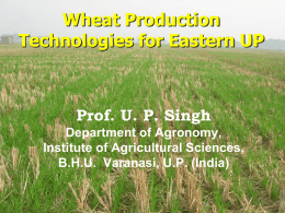 Prof. U. P. Singh ,Institute of Agricultural Sciences