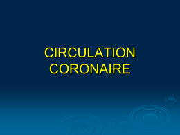 Circulation coronaire