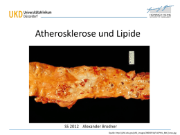 VL Arteriosklerose_Lipide ss12