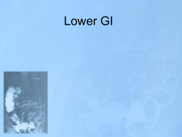 Lower GI