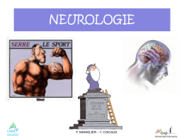 NEUROLOGIE anatomie2..
