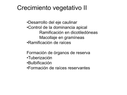 2014_2da_clase_Clase_Crecimiento_Vegetativo_parte_A