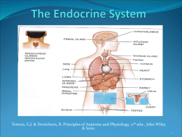 AMS_PowerPoint_The_Endocrine_System_Part_A