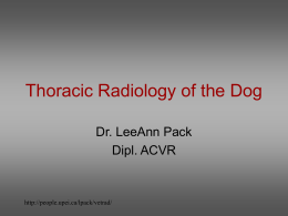 Thoracic Radiology of the Dog