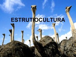 estrutiocultura_123[1]