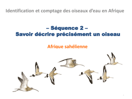 Séq 2 identification Afrique sahélienne 2012