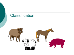 Classification PowerPoint