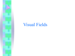 Visual fields