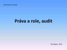 Práva a role, audit