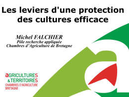 Les leviers d`une protection des cultures efficace