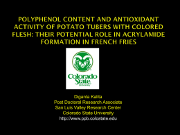 Polyphenol Content and Antioxidant Activity of Potato Tubers with