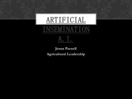 Artificial Insemination (AI) in Swine