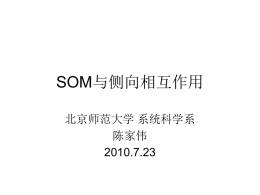SOM与侧向相互作用 - 北京师范大学系统科学学院
