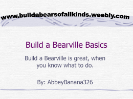 Build a Bear Ville Basics