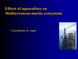 Posidonia - FAO Sipam