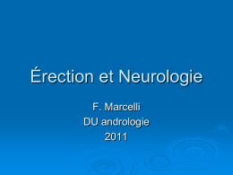 Erection et Neurologie