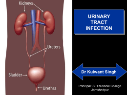 urinary tract infection pathogenesis